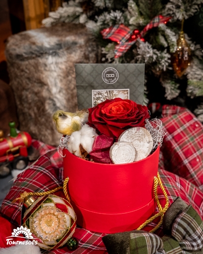 Rose éternelle rouge dans une boîte rouge sous cloche de Noël.